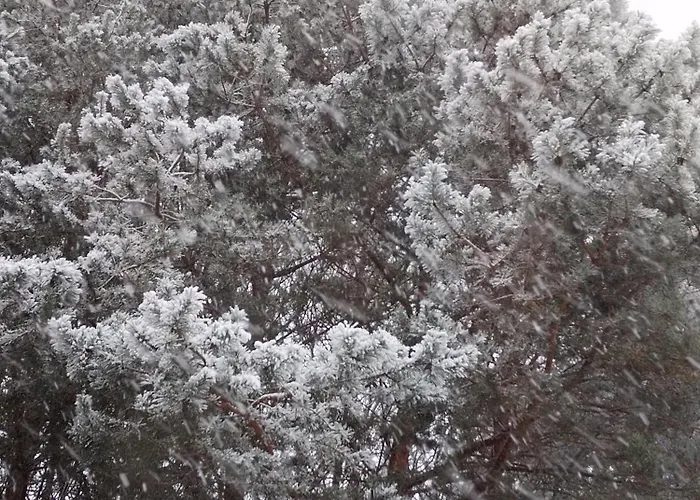 Дом отдыха Caloroczny Morze Устка